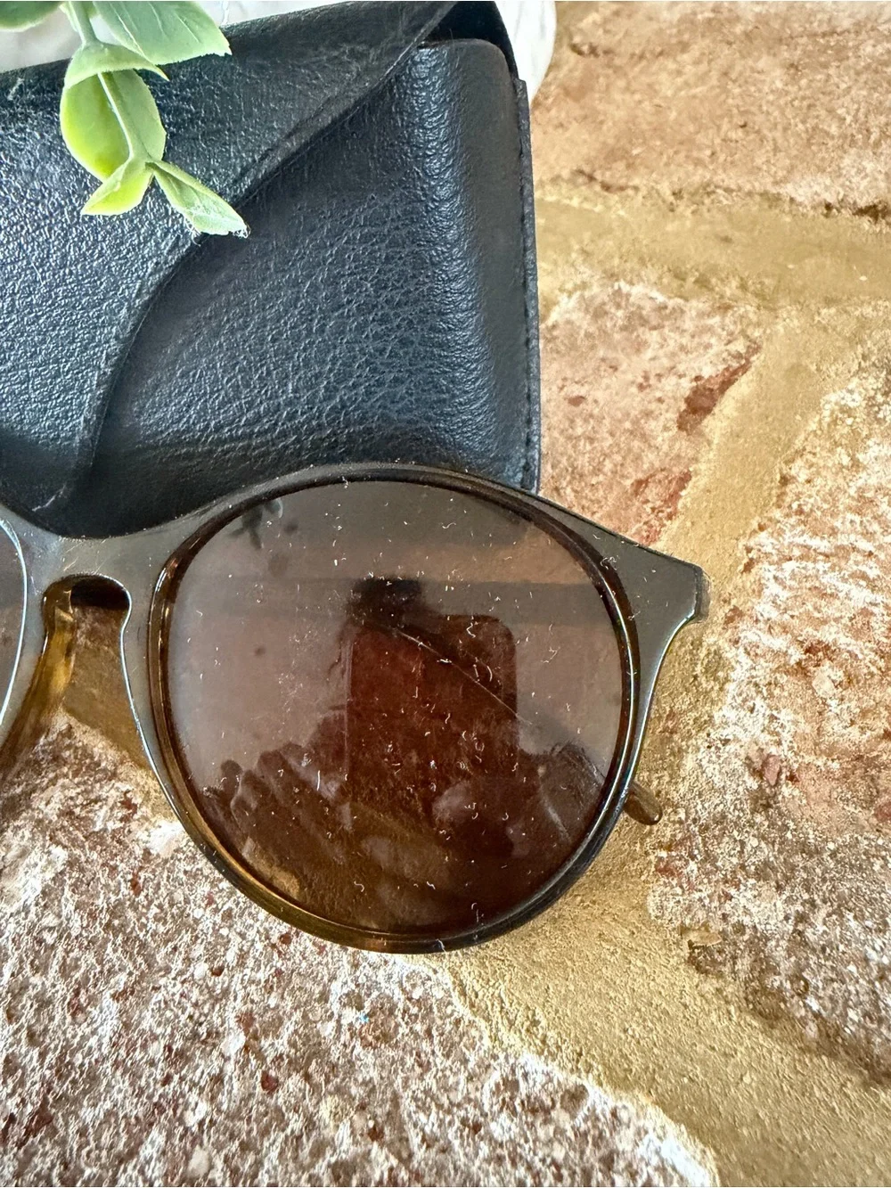 Ray-Ban | Erika Brown Tortoiseshell Sunglasses